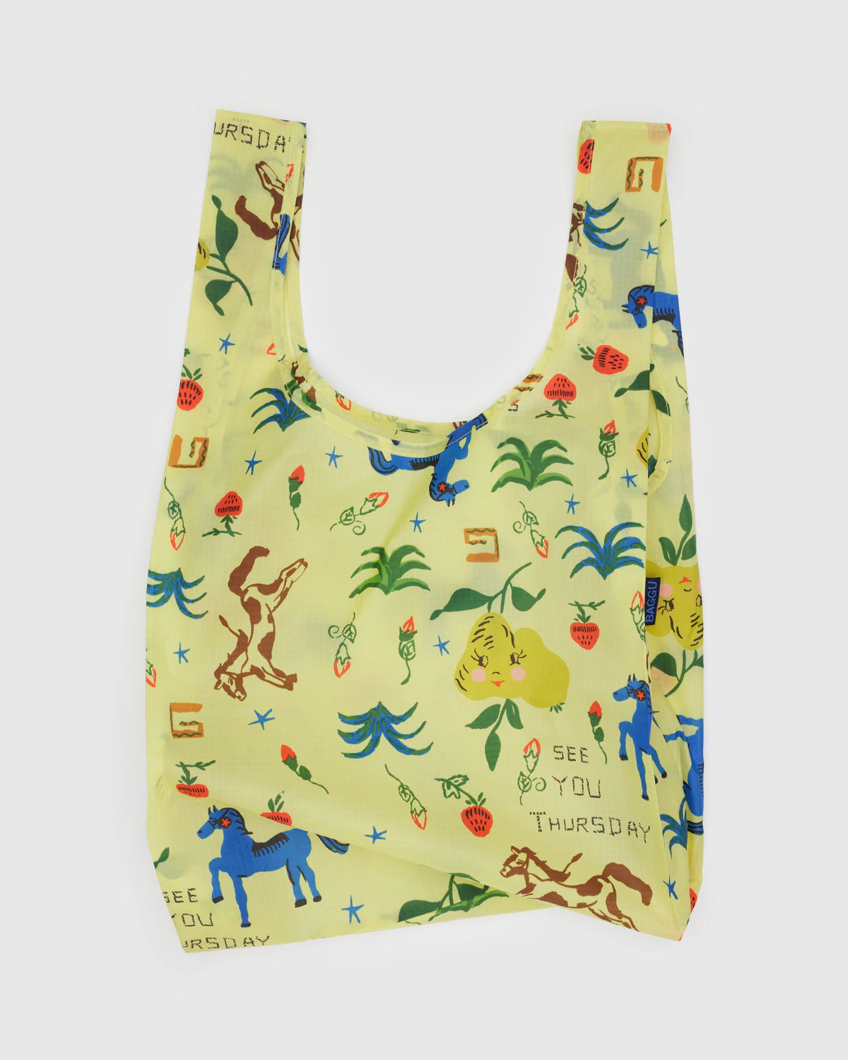 Standard Baggu Painted Prairie