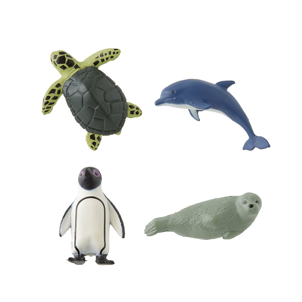 Midori Mini Magnete Aquarium B
