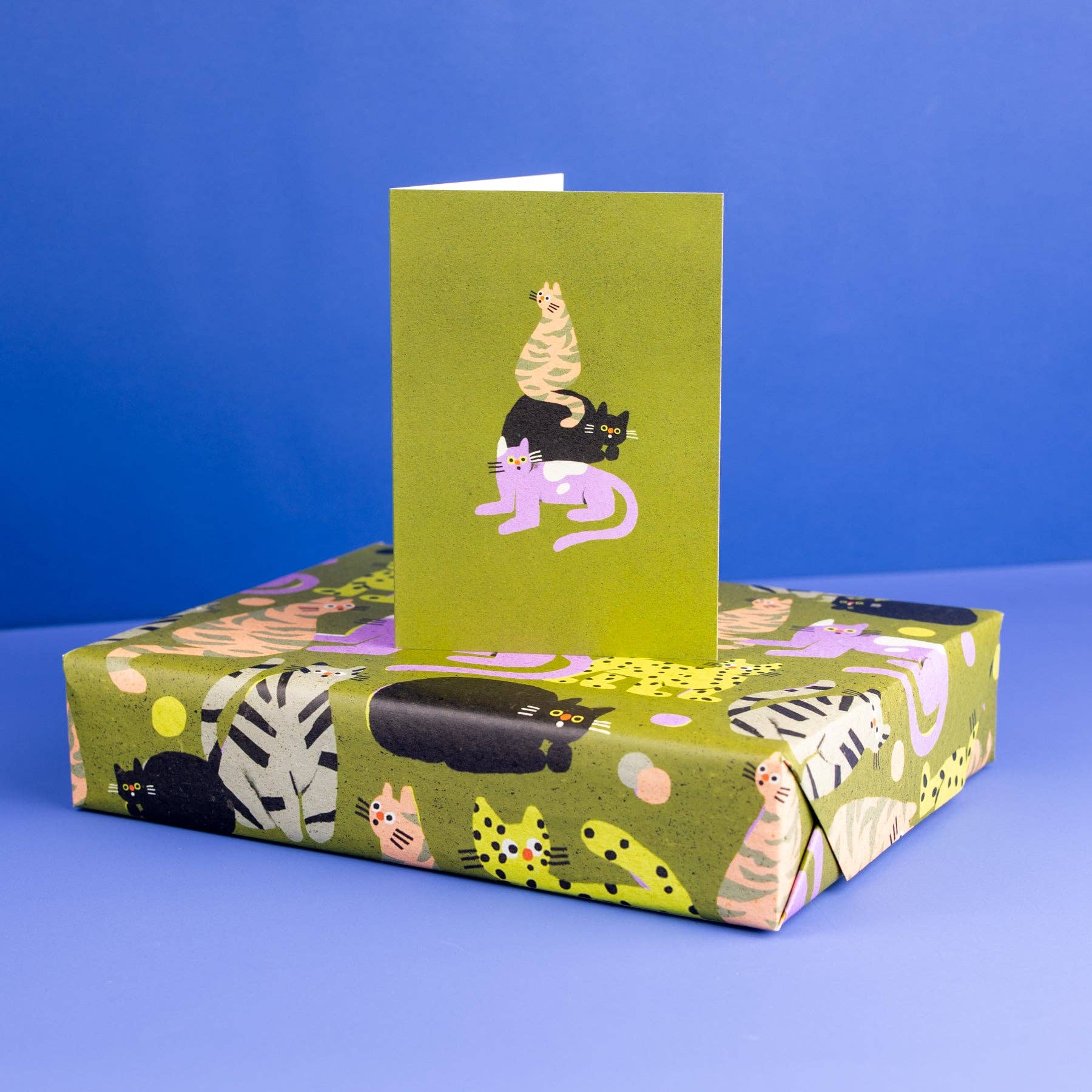 Evermade x Zsófia Győrfi Klappkarte Surprised Cats