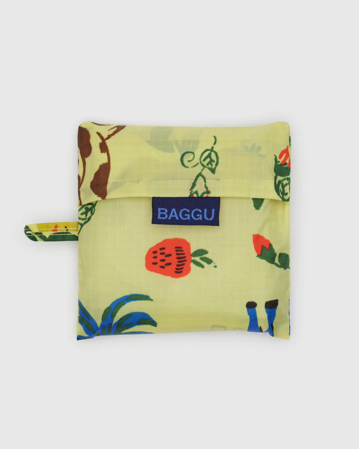 Standard Baggu Painted Prairie